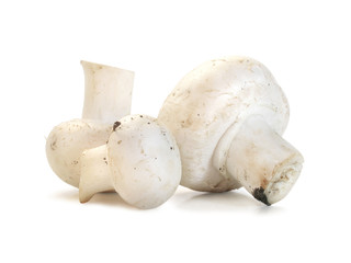 Raw fresh champignon mushrooms isolated
