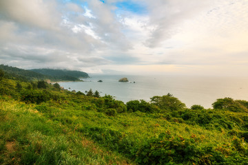 Obraz premium grüne Küste im Pacific Northwest