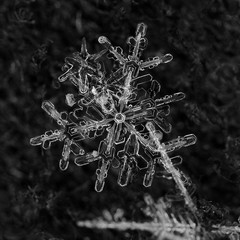 Extreme closeup of natural snowflake