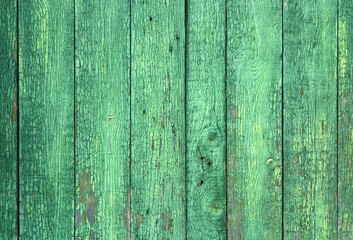 Fototapeta na wymiar Green Real Wood Texture Background. Vintage and Old