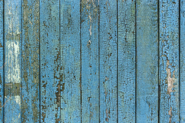 Fototapeta na wymiar Green Real Wood Texture Background. Vintage and Old