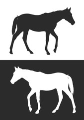 horse silhouette