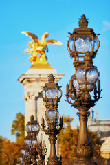 Fototapeta na wymiar Alexandre III bridge in Paris, France