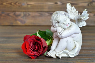 Little angel and rose