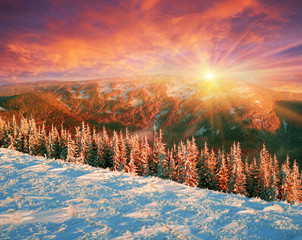 frosty sunrise in the Carpathian mountains