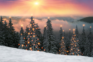 Fototapeta na wymiar frosty sunrise in Carpathians