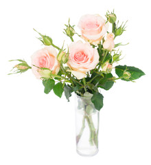 Pink blooming fresh roses with buds posy isolated on white background