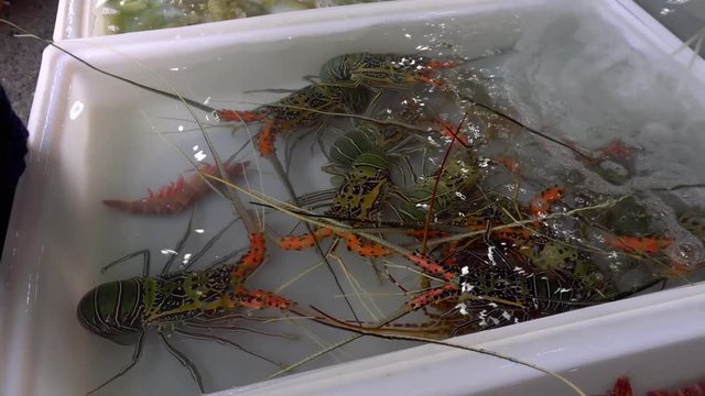 Fresh market Seafood in Thailand