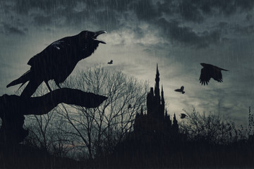 Plakat horror scene with a raven in front and castle at back under rain at dusk on blue background