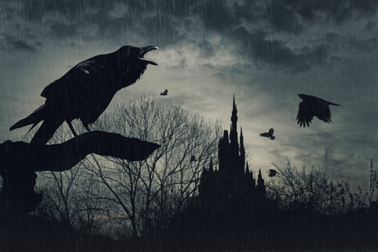 horror scene with a raven in front and castle at  back under rain at dusk on blue background