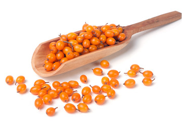 buckthorn berries in a wooden scoop isolated on white background