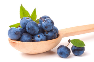 blackthorn berries in a wooden spoon with leaves isolated on white background