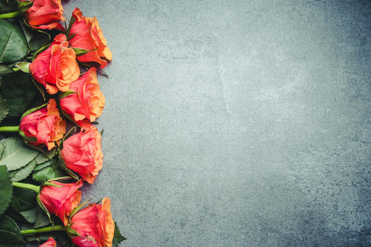Fototapeta Red roses flowers on gray grunge surface.