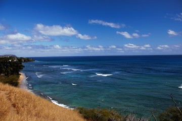 Hawaiian Dreams
