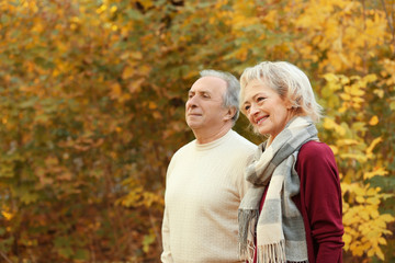 Fototapeta premium Lovely mature couple in autumn park