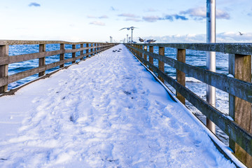 seebrücke in binz