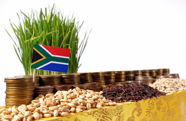 South Africa flag waving with stack of money coins and piles of wheat