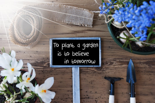 Sunny Spring Flowers, Sign, Quote Plant Garden Believe In Tomorrow