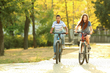 Friends riding bicycles in park on sunny day