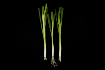 Green Onions in a black background