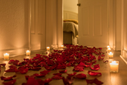 A path of red rose petals toward a special place