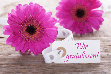 Pink Spring Gerbera, Label, Wir Gratulieren Means Congratulations