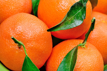 Group of tangerines on background