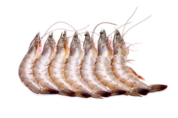 Raw shrimps on white background