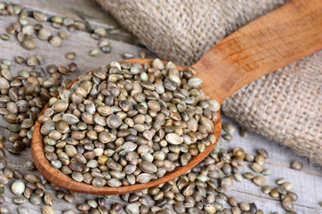 Spoon with hemp seeds