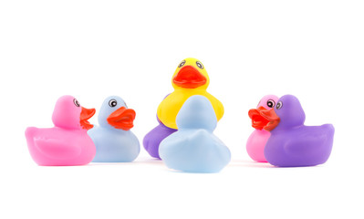 Rubber ducklings in a circle, with one above the others - concept of leadership; on white