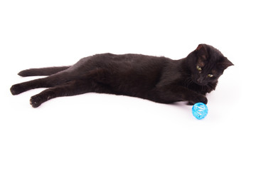 Black cat with a blue ball under her paw, on white
