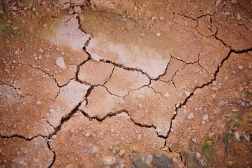 Texture background of cracked earth