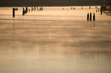 Sunrise on Multnomah Channel