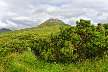 Irland - Connemara National Park