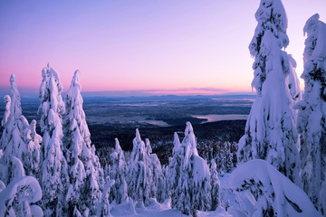 Snow on trees at sunset and city views. Grouse Mountain Park. North Vancouver. British Columbia....