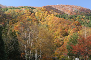 Fototapeta premium 秋山郷周辺