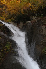 秋山郷周辺の滝