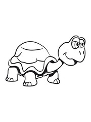 Fototapeta premium Turtle funny goofy kids