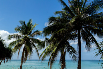 Fototapeta na wymiar Beach landscape in Phuket