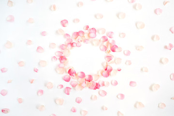 Frame made of pink roses petals on white background. Flat lay, top view. Valentine's background