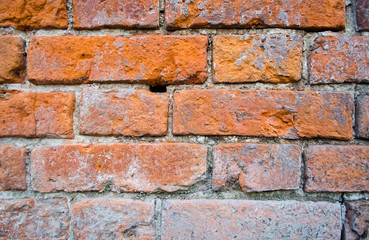 Obraz premium Wall with red bricks.