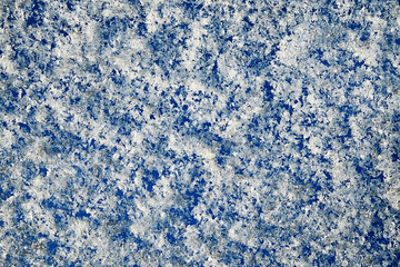 Obraz premium the sparkling white snow on the blue