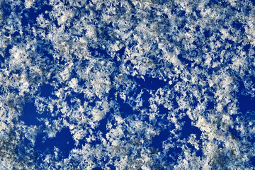 Fototapeta na wymiar the sparkling white snow on the blue