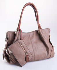 bag or women bag on a background.