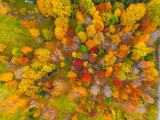Fototapeta na wymiar autumn from the air