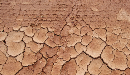 dry soil cracked earth texture