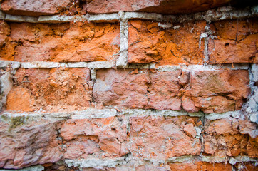 Wall with red bricks.