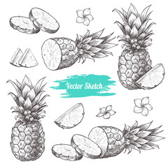 Vector pineapples hand drawn sketch with flowersf.  Sketch vector tropical food illustration. Vintage style