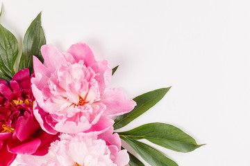 peony flowers