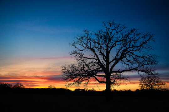 Texas winter sunset over pasture